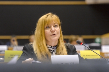 Kay Swinburne MEP